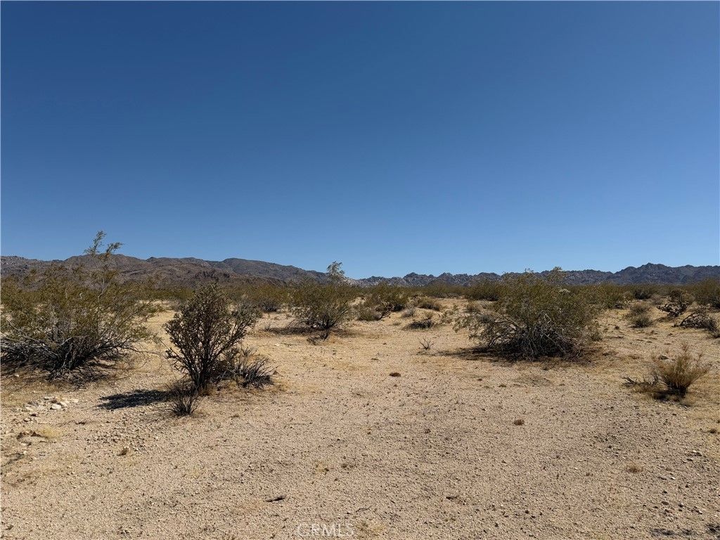 2 Mile, 29 Palms