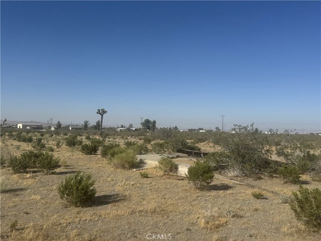 4432 Camellia, Phelan