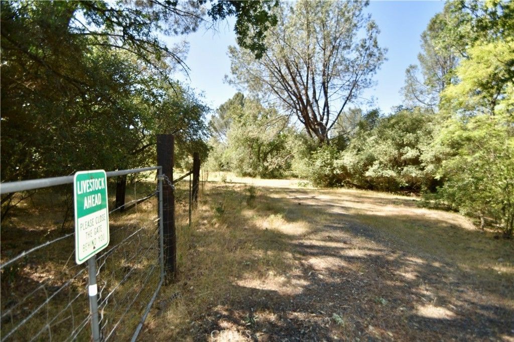Maple Avenue, Oroville