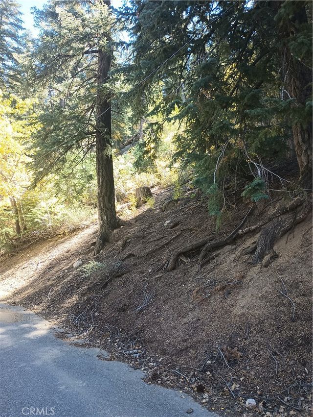 Cherry, Big Bear Lake