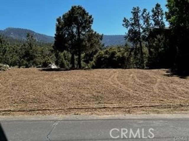 2045 Woodland Drive, Pine Mountain Club