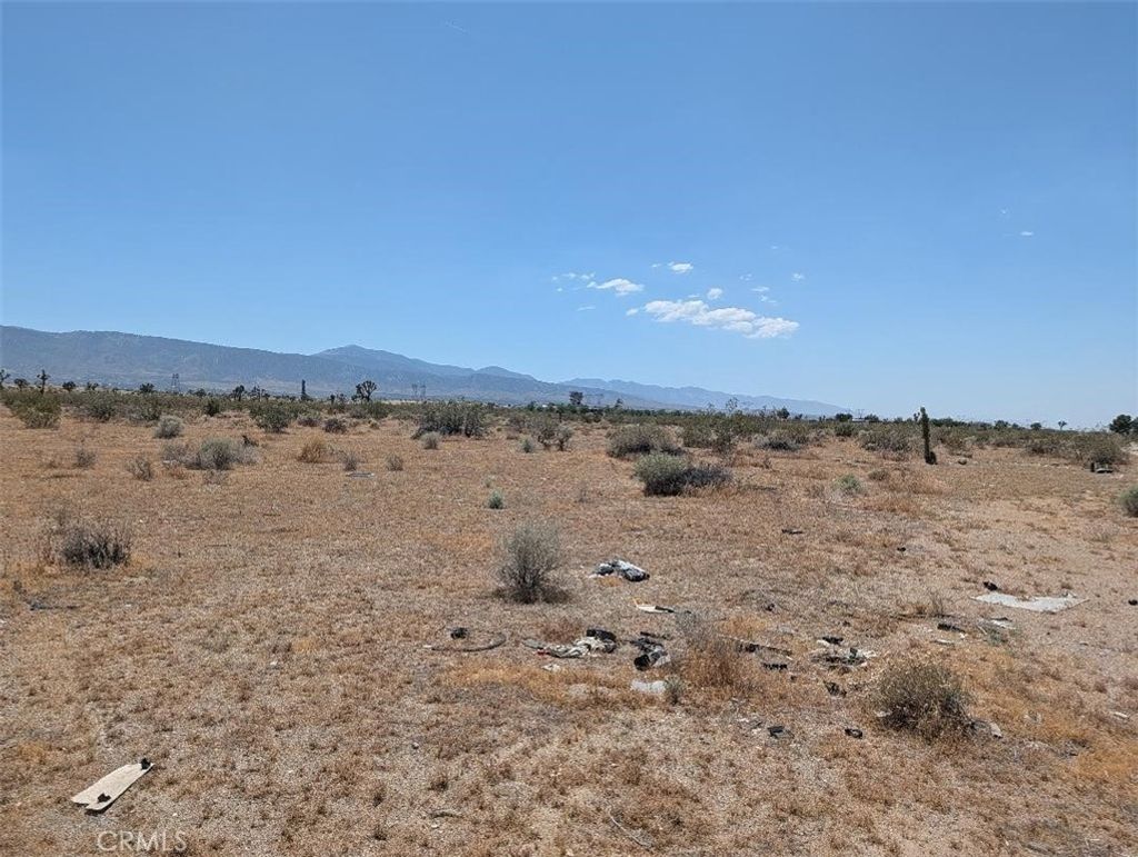 3 Dos Palmas, Pinon Hills