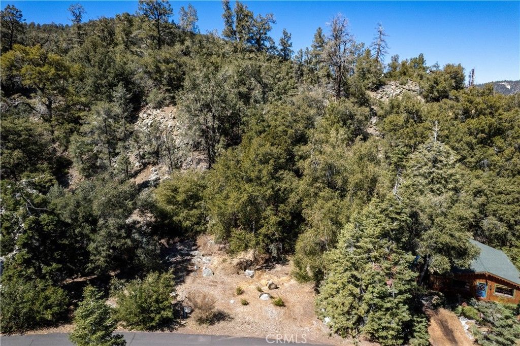 1301 Bernina Drive, Pine Mountain Club