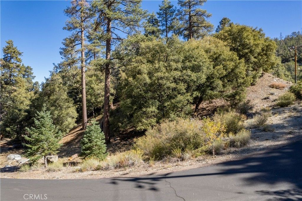 1216 Banff Drive, Pine Mountain Club