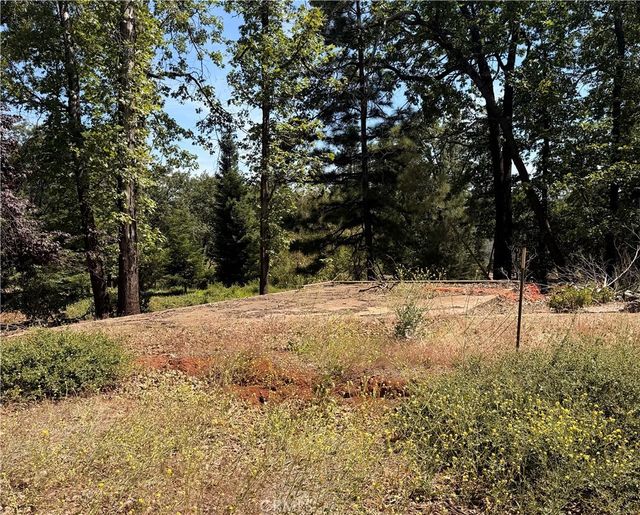 13457 Achilles Court, Magalia
