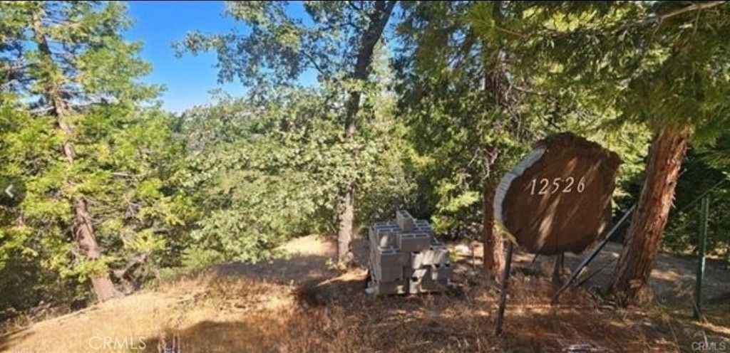 25126 Jewel Drive, Crestline