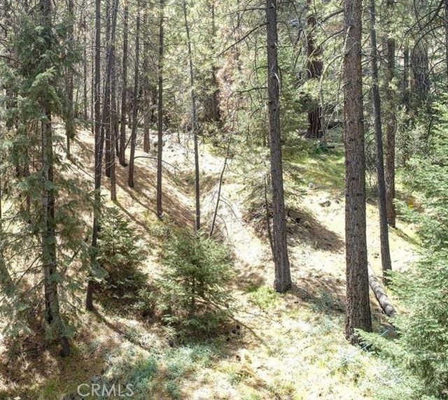 1316 Zermatt Court, Pine Mountain Club