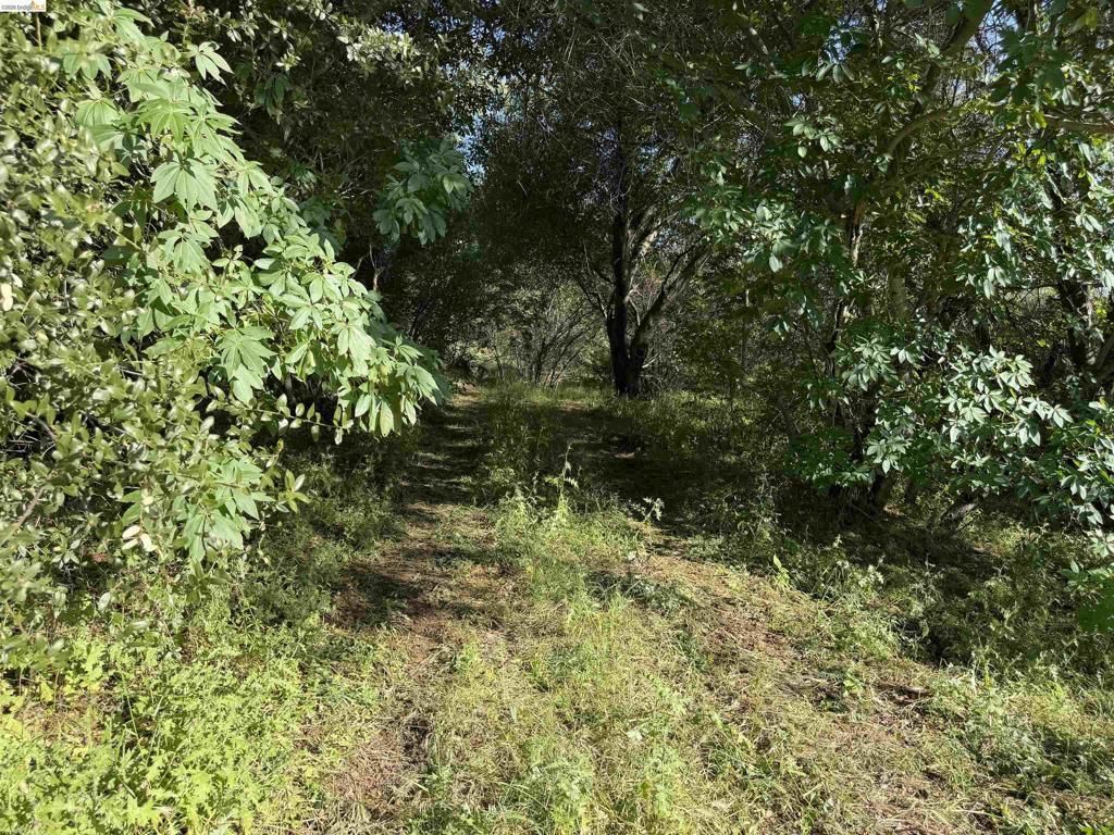 4320 Usona Rd, Mariposa