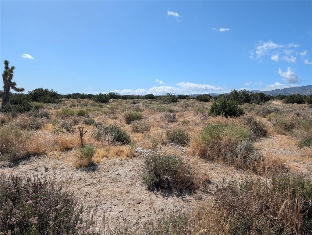 33 Antelope, Llano