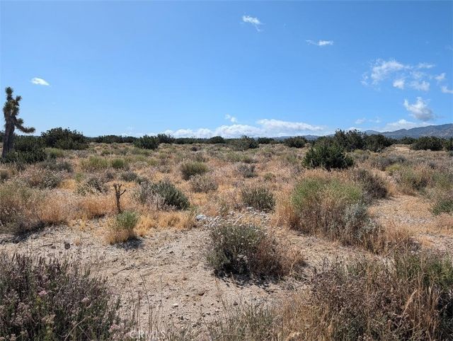 33 Antelope, Llano