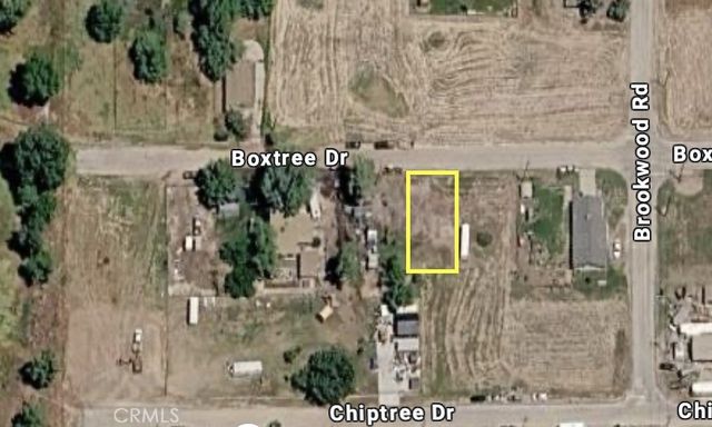 Boxtree Drive, Lake Elizabeth