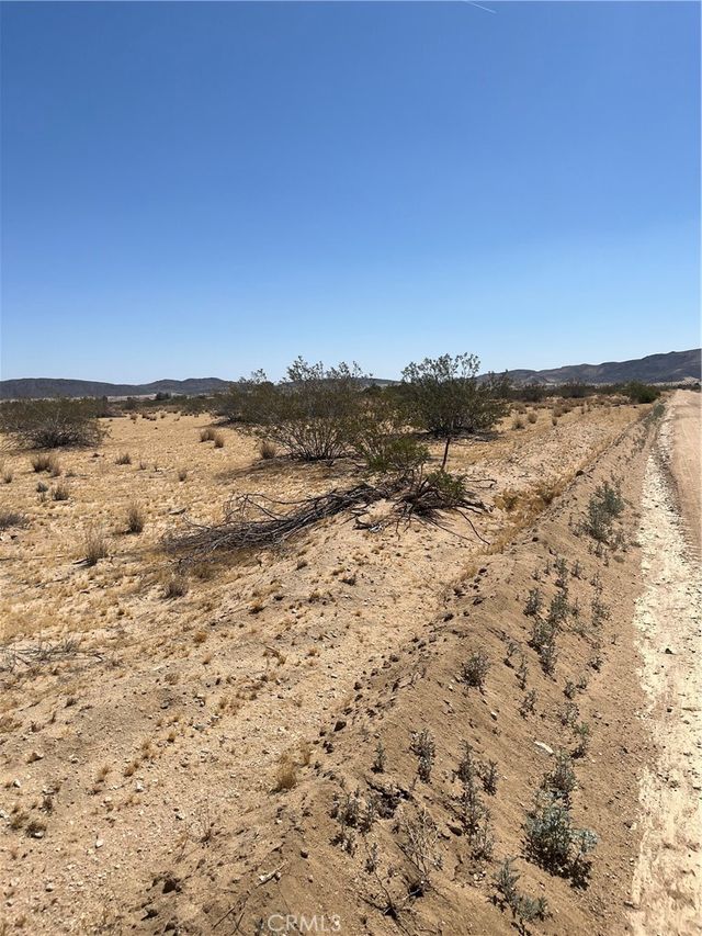 Division, Joshua Tree