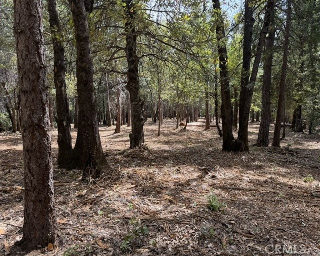 Platt Mountain Road, Forest Ranch