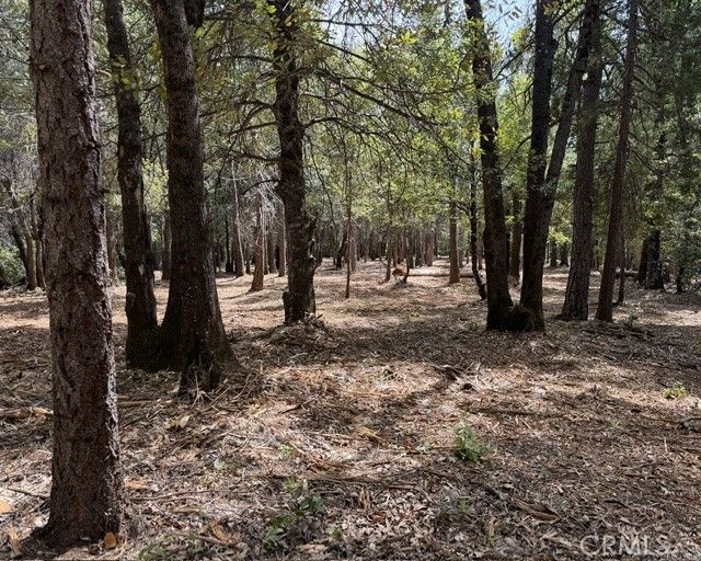 Platt Mountain Road, Forest Ranch