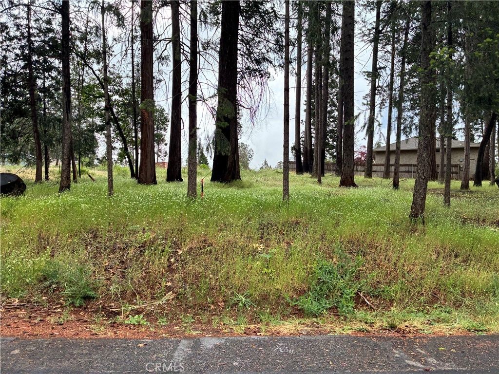 Pineland Circle, Magalia