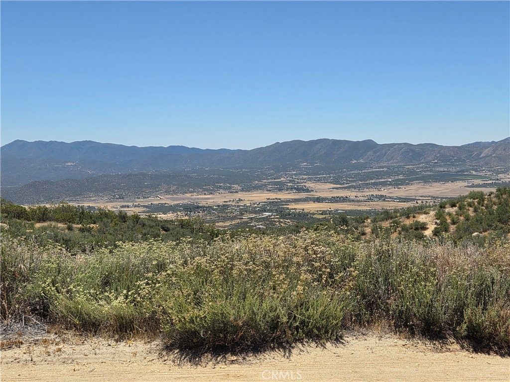 Tweedie Trl, Anza