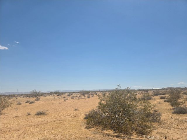1 Venus, Joshua Tree