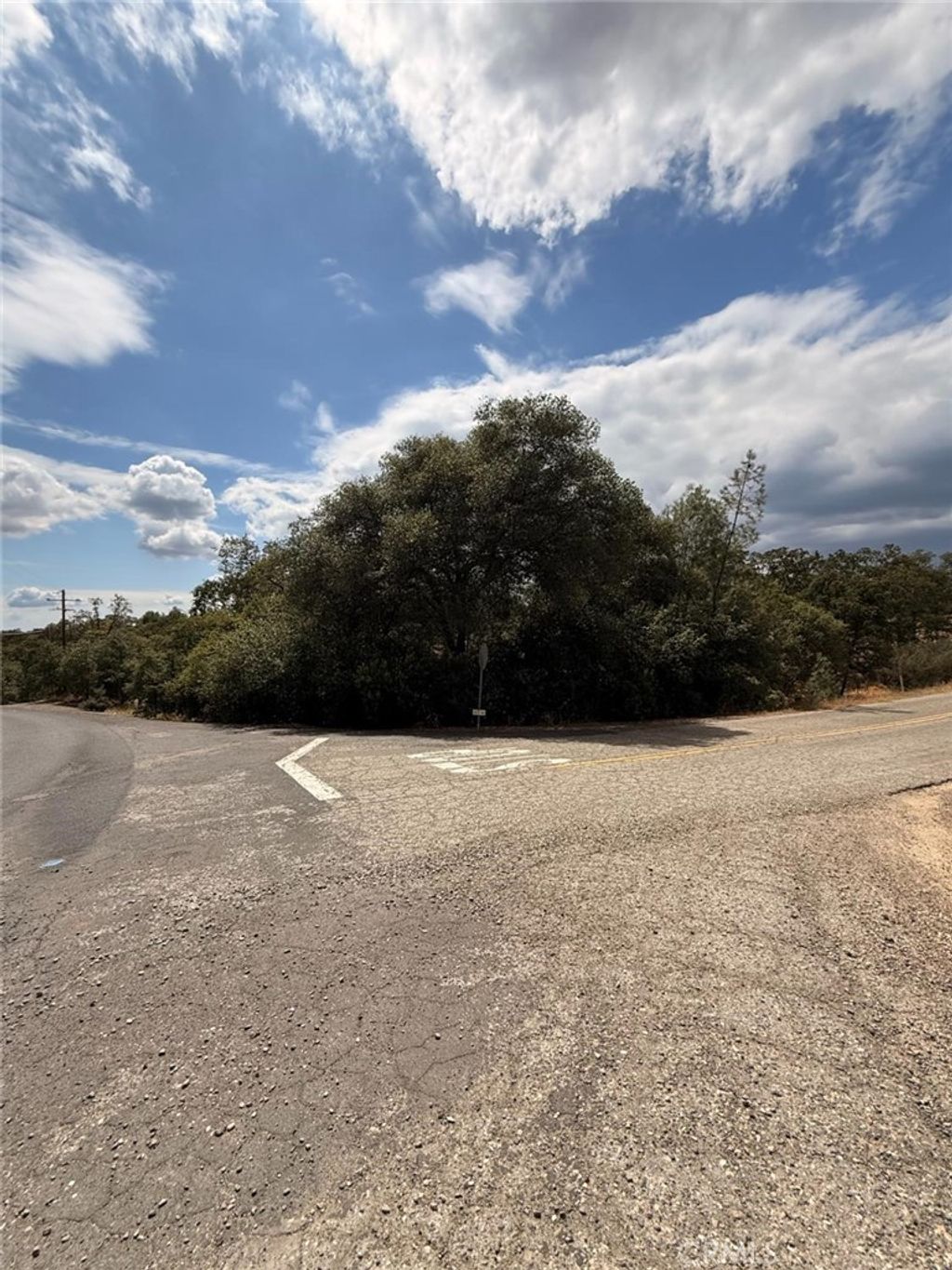 10357 Tulipan, Coulterville