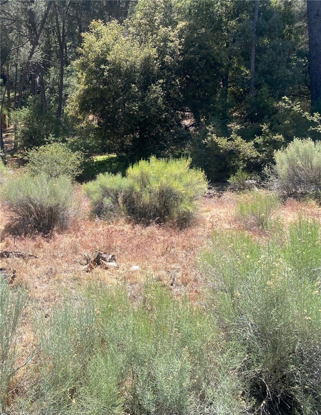 13708 Yellowstone, Frazier Park