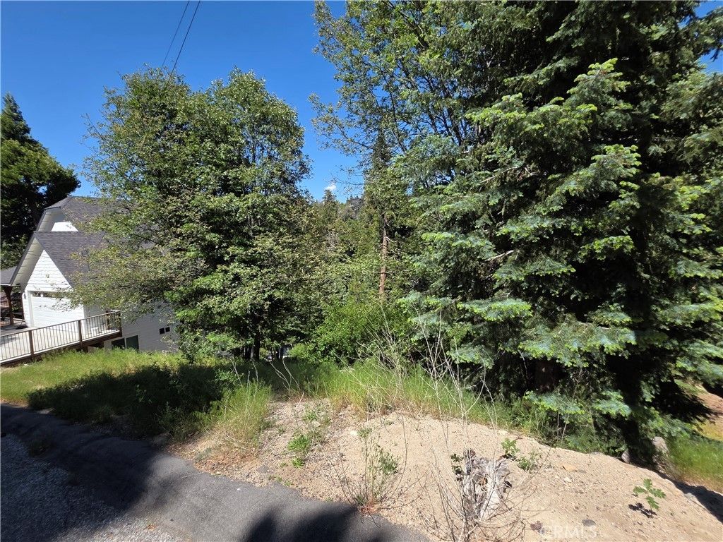 Shenandoah Drive, Lake Arrowhead
