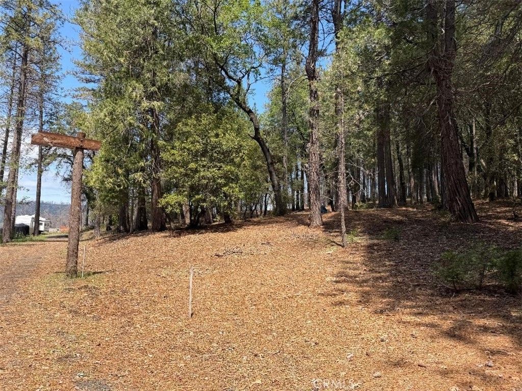 4631 Dear Abby, Forest Ranch