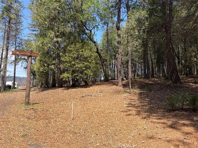 4631 Dear Abby, Forest Ranch