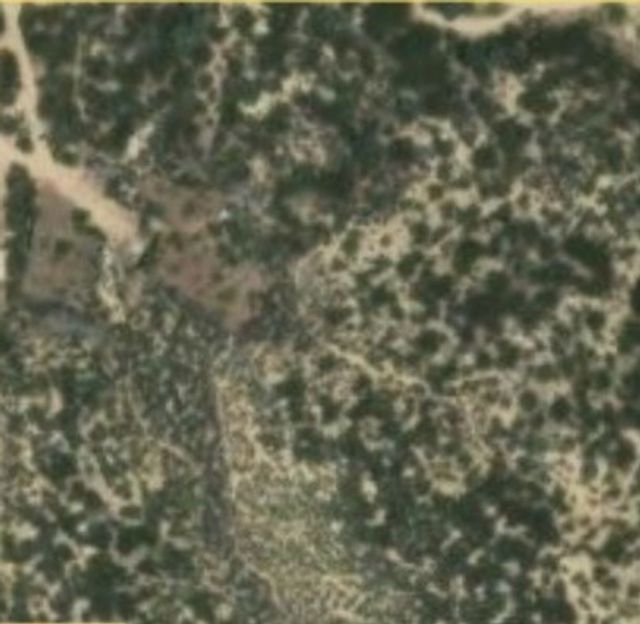 Dickson Hills Road, Anza
