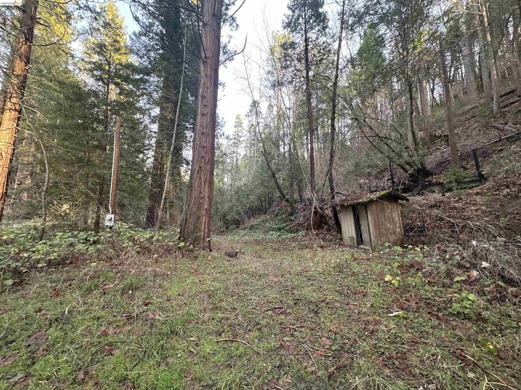 22895 S Fork Rd., Twain Harte