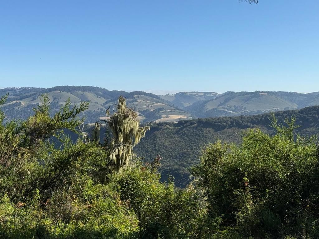 6 Rancho San Carlos (lot E10) Road, Carmel
