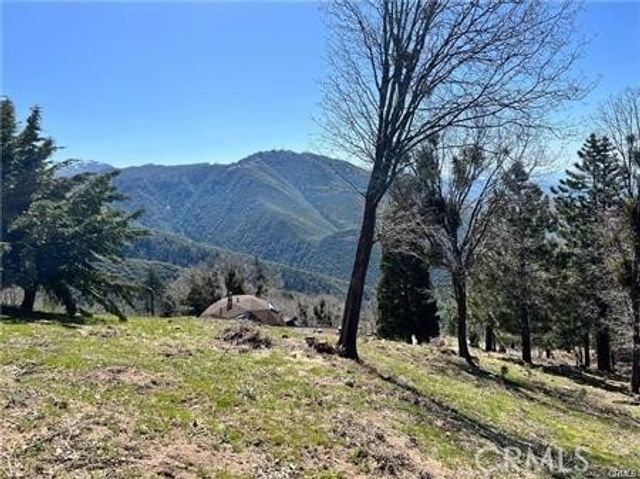 41 Fredalba Road, Running Springs