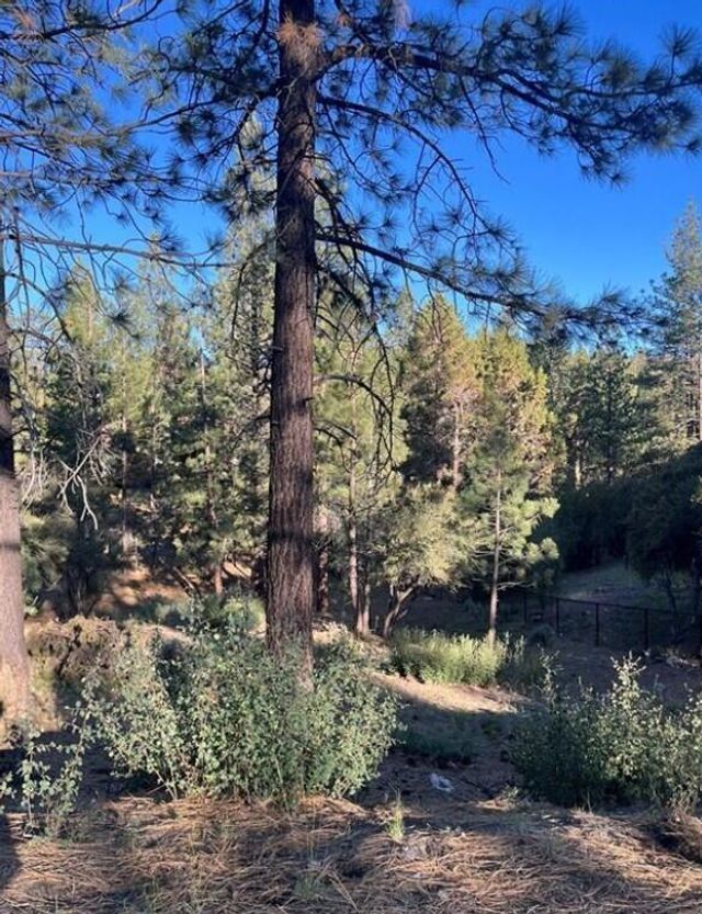 545 Division Drive, Big Bear