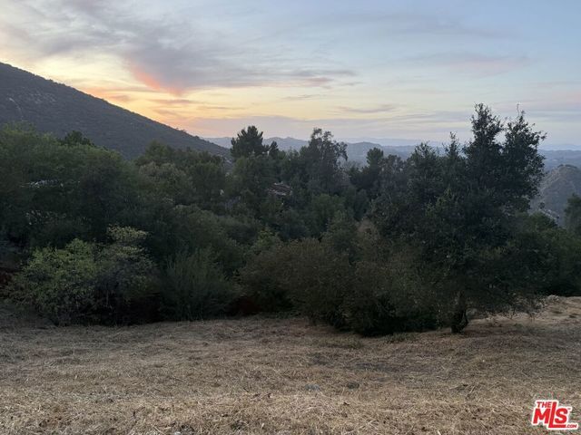 Medley Lane, Topanga