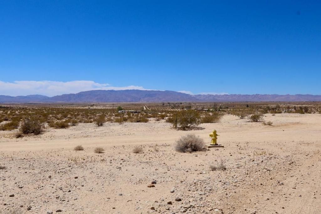 Goodie Lane, 29 Palms