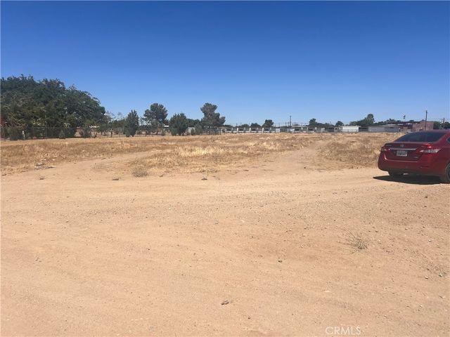 Avenue Q5, Palmdale