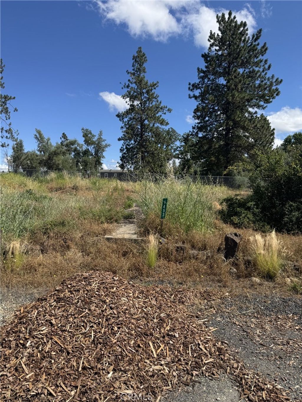 1453 Scandia Way, Paradise