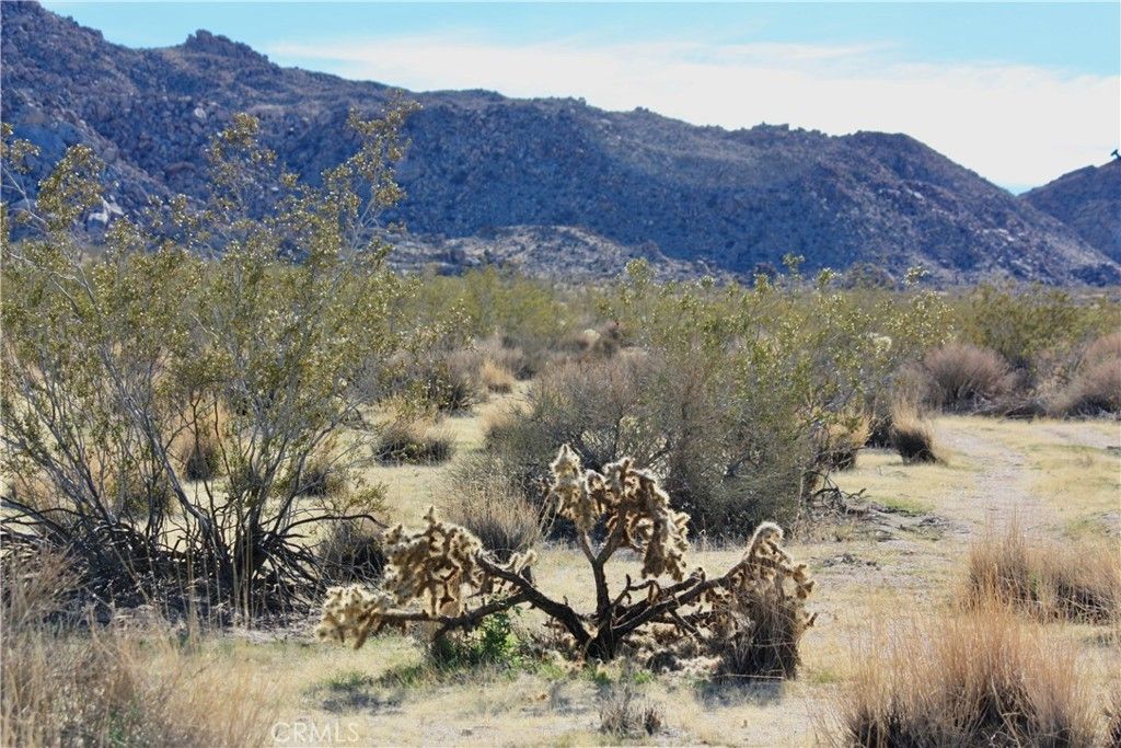 64647 Foothill Drive, Joshua Tree