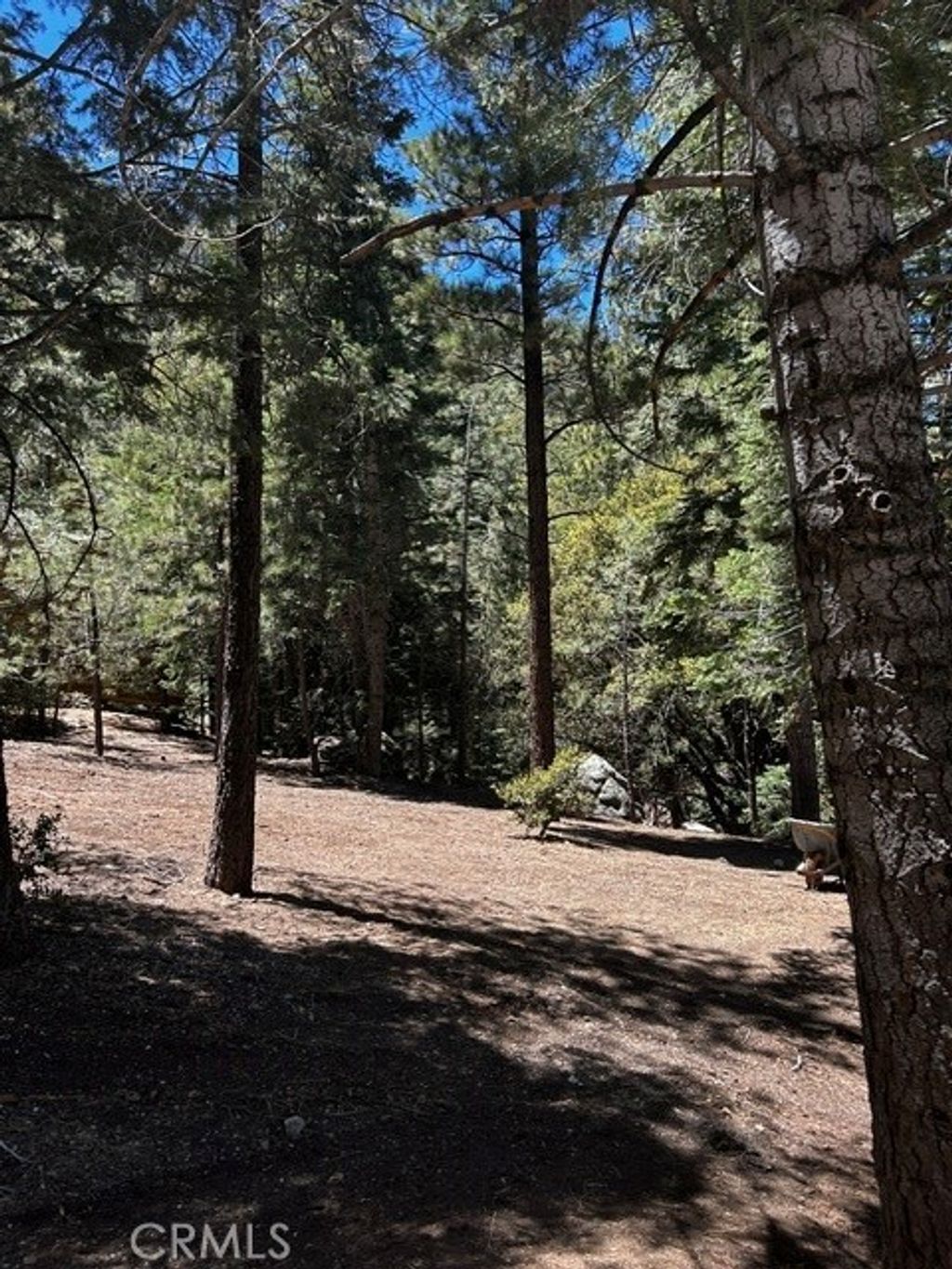 1221 Azalea Dr, Pine Mountain Club