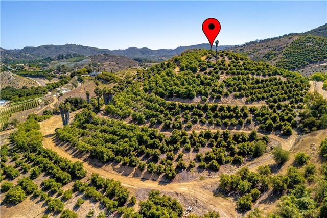 Carancho, Temecula