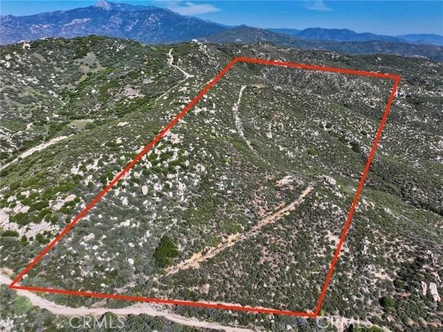 Mt Edna, Idyllwild