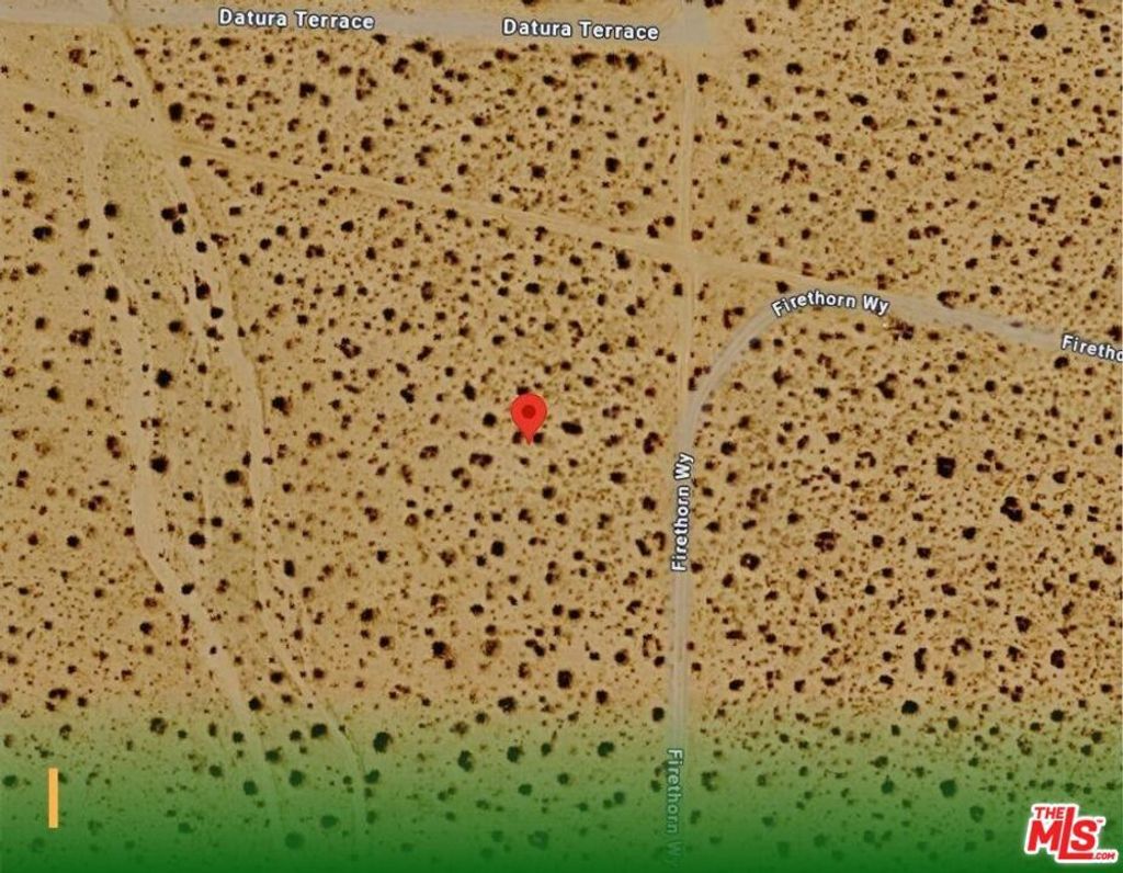 Datura Avenue, Johnson Valley