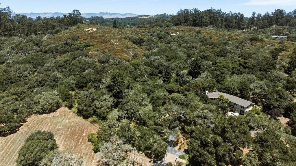 Joshua Road, Salinas