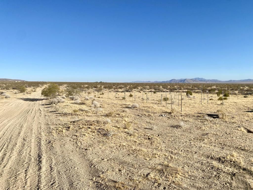 104 Joshua Tree Road, Johnson Valley