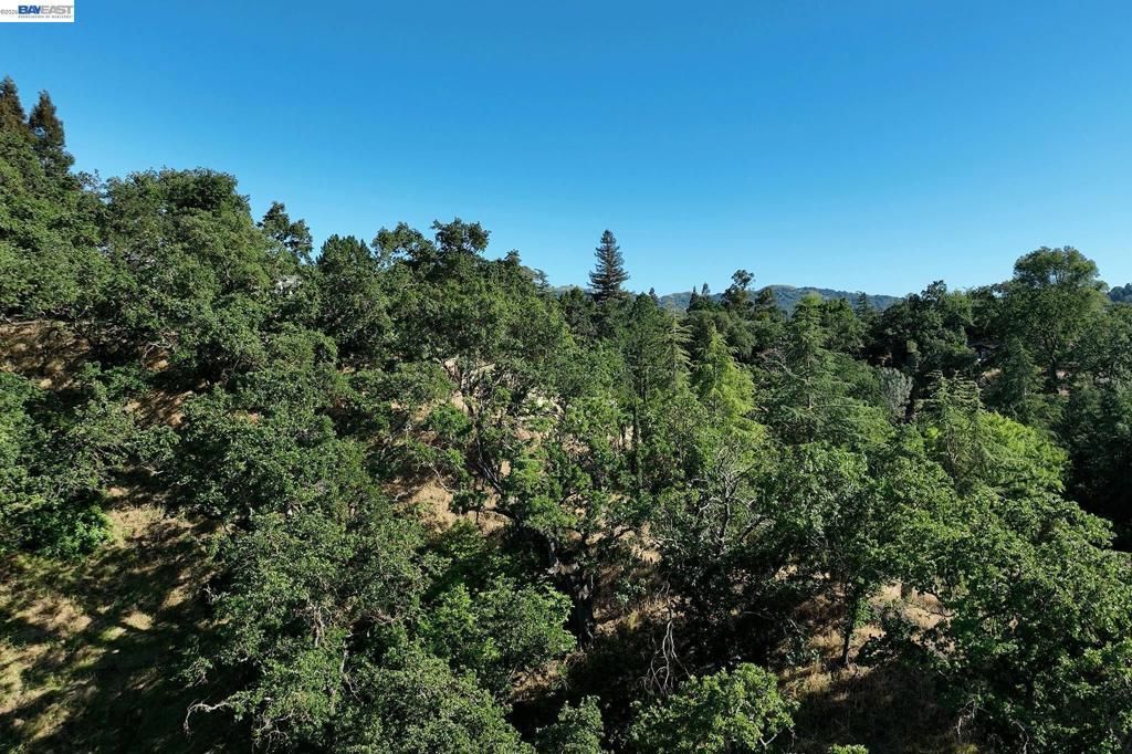 247 Sequoia Ave, Walnut Creek