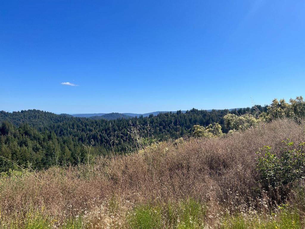 Bear Creek Road, Boulder Creek