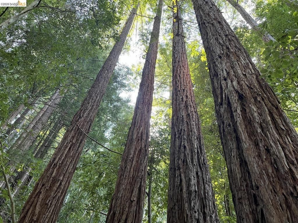 Deer Trail Way, Scotts Valley
