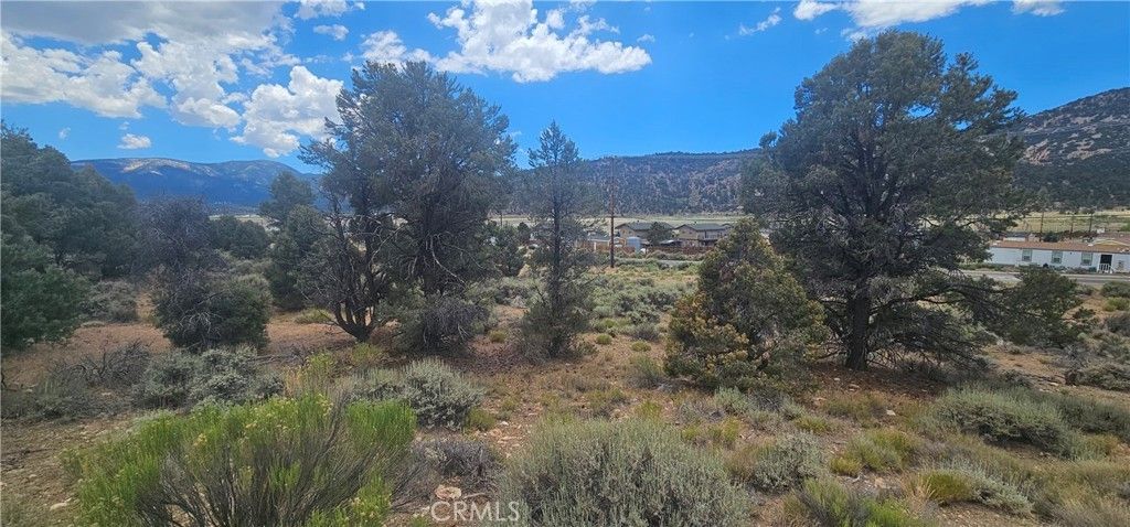 Baldwin Lake Road, Big Bear City