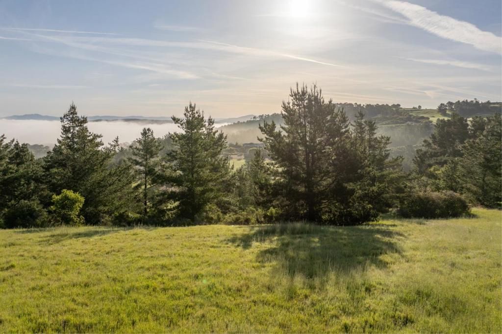 7925 Cinquenta (lot 97), Carmel