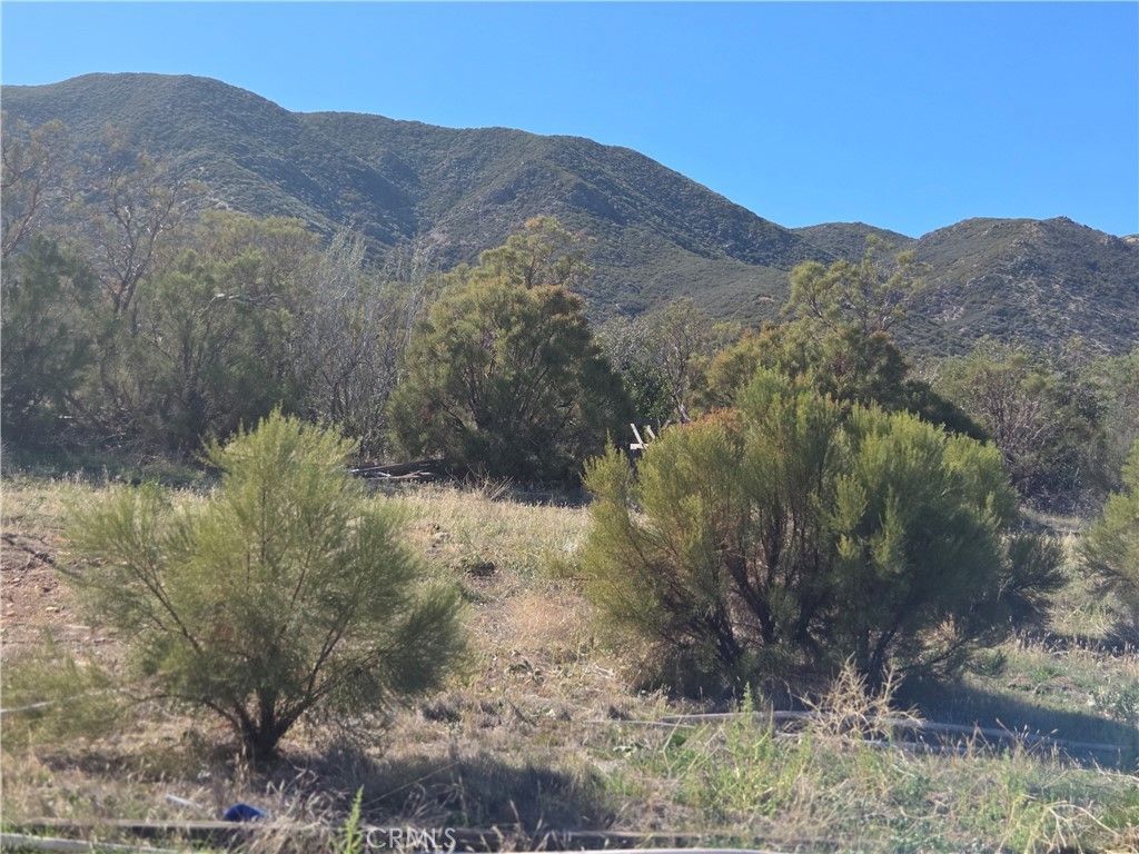 Taron Trail, Anza