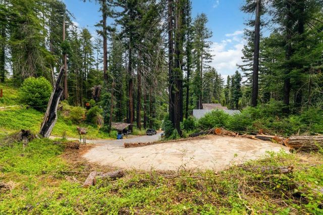 1131 Rambling Road, Boulder Creek