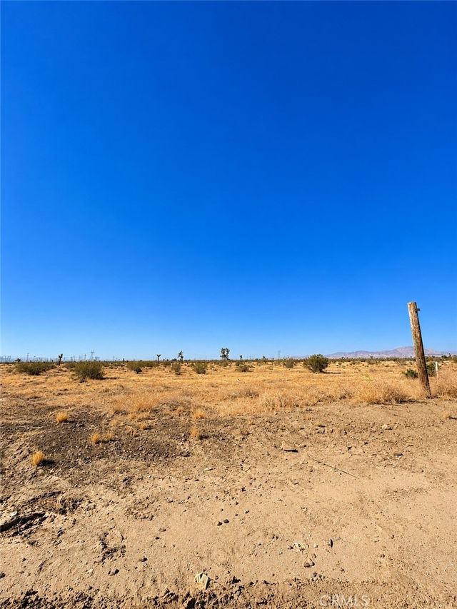 Cactus, Adelanto